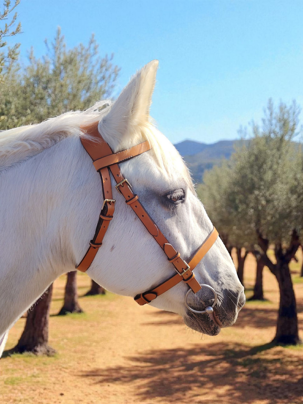 Bridon Camargue Mistral – Tailles standard