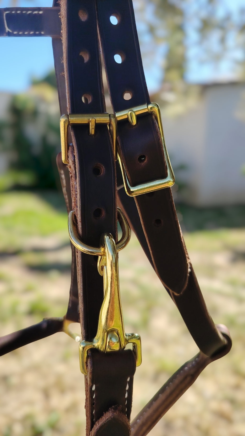 Bridon-licol Outrider – Tailles standard