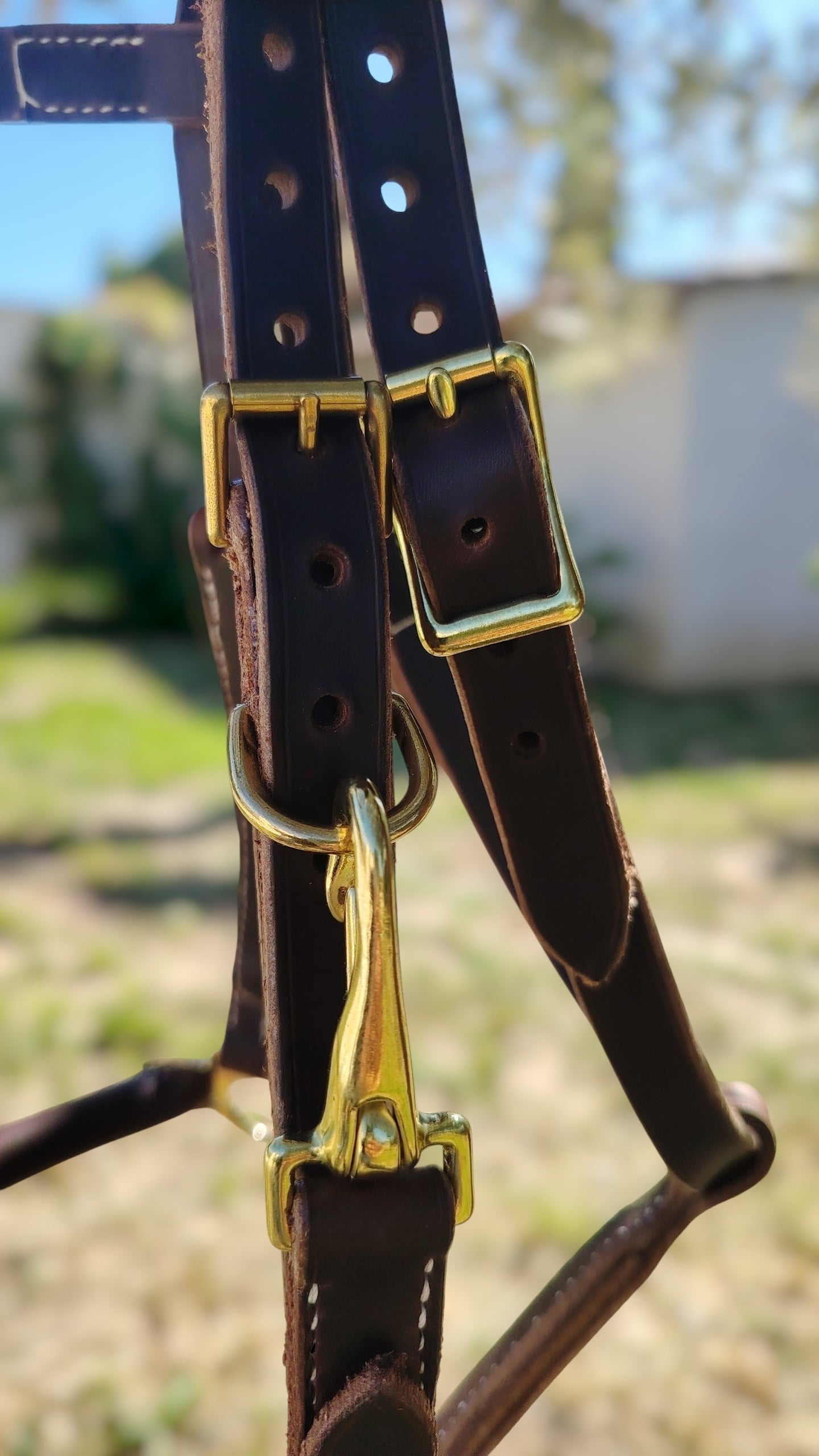 Bridon-licol Outrider – Tailles standard