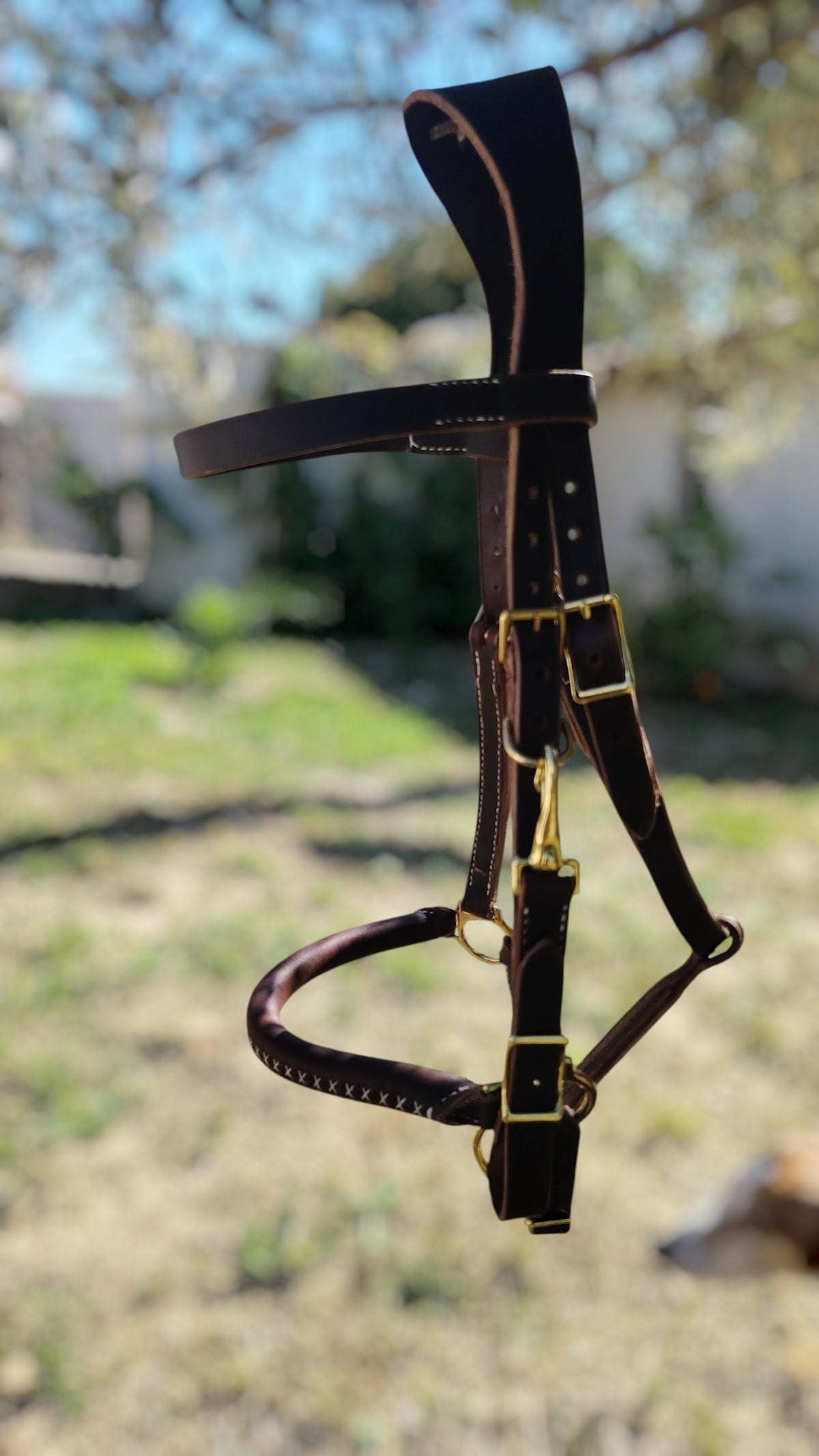 Bridon-licol Outrider – Tailles standard