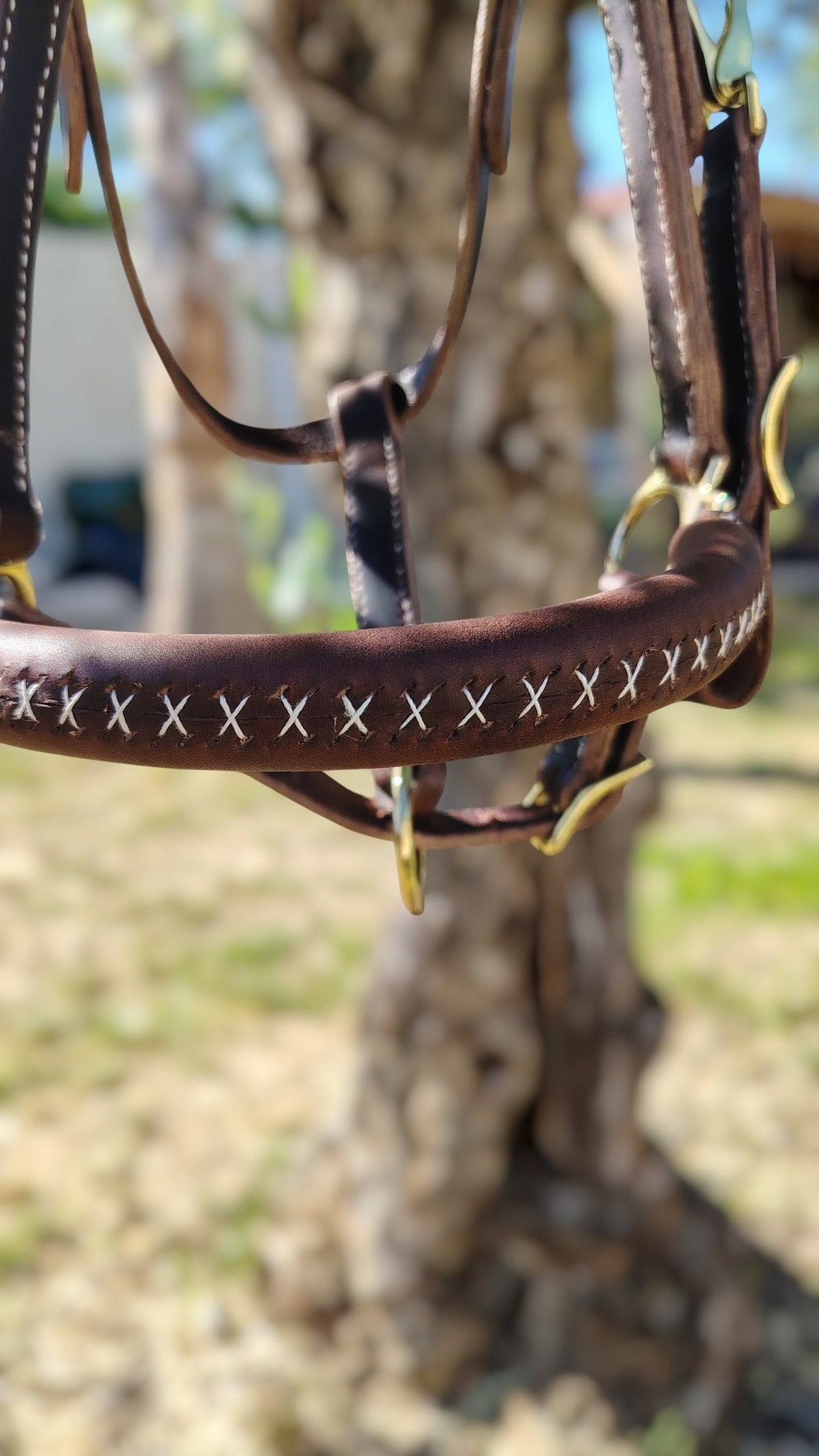Bridon-licol Outrider – Tailles standard